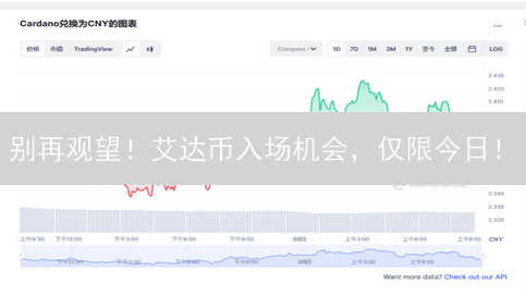 别再观望！艾达币入场机会，仅限今日！