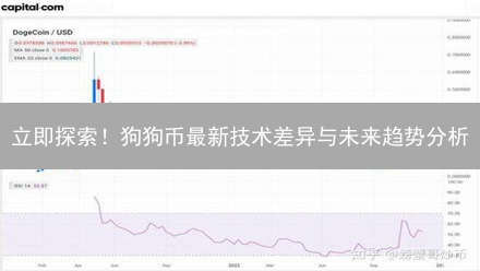 立即探索！狗狗币最新技术差异与未来趋势分析