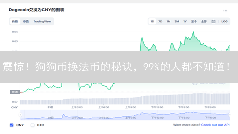 震惊！狗狗币换法币的秘诀，99%的人都不知道！