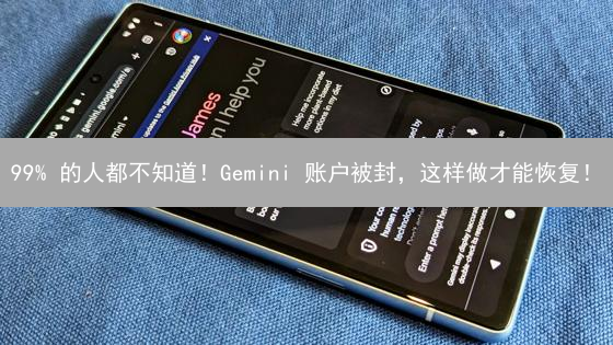 99% 的人都不知道！Gemini 账户被封，这样做才能恢复！