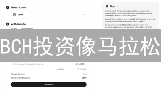 BCH投资像马拉松：如何在Bitget安全购买比特现金？新手必看！