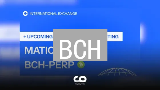 BCH：是真比特币？还是扩容的代价？机遇仅限币圈老手！