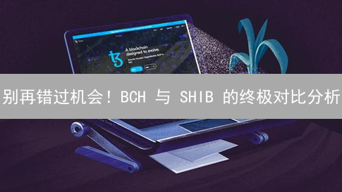 别再错过机会！BCH 与 SHIB 的终极对比分析