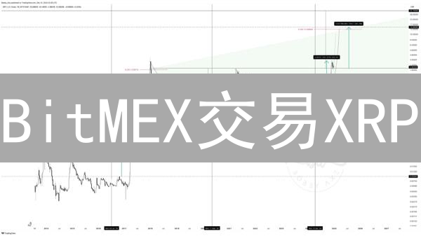 BitMEX交易XRP？你绝对想不到的秘密！