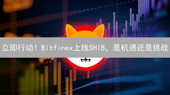 立即行动！Bitfinex上线SHIB，是机遇还是挑战？