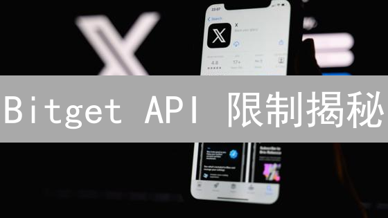 Bitget API 限制揭秘：开发者必读！| 专家解读