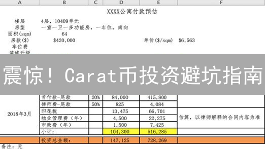 震惊！Carat币投资避坑指南：普通人也能看懂的真相！