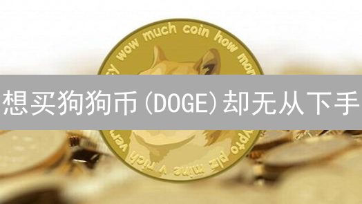 想买狗狗币(DOGE)却无从下手？币安(Binance)购买指南来了！