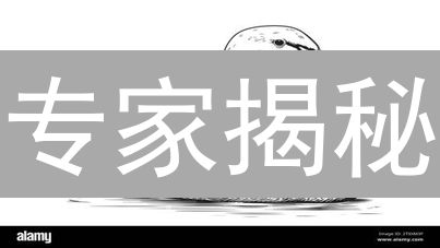 专家揭秘：为什么 Duck 币如此火爆？99% 的人都忽略了这 3 个关键点！