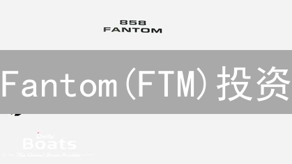 Fantom(FTM)投资：能否成为下一个DeFi爆发点？