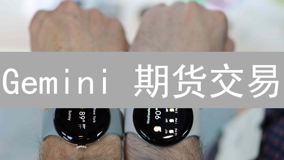 Gemini 期货交易：新手也能轻松上手？（附风险应对策略）