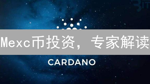 Mexc币投资，专家解读：普通投资者与高手的差距分析及策略