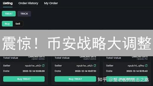 震惊！币安战略大调整：SHIB 退位，BTC 重回 C 位？