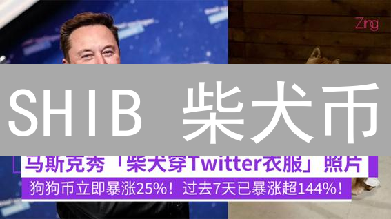 SHIB 柴犬币：还能火多久？一文看懂投资价值与风险！