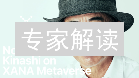 专家解读：XANA币的价值与风险分析（附获取方式）