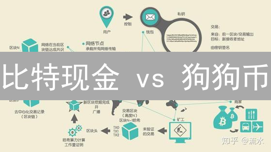 比特现金 vs 狗狗币：2024 年价值投资策略与技术分析